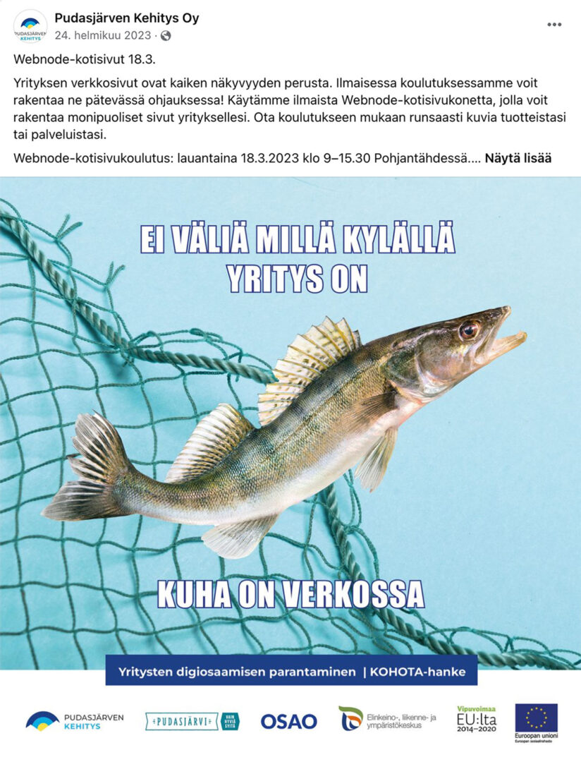 Webnode-koulutuksen mainos. Kuvassa kala verkossa ja päällä teksti: Ei väliä millä kylällä yritys on, kuha on verkossa.