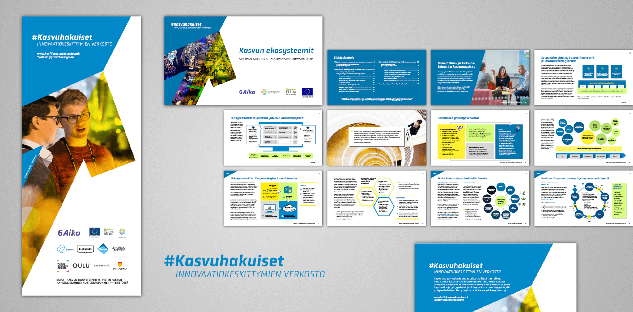 Design Inspiksen Laura Tiiton suunnittelemaa hankeviestintää