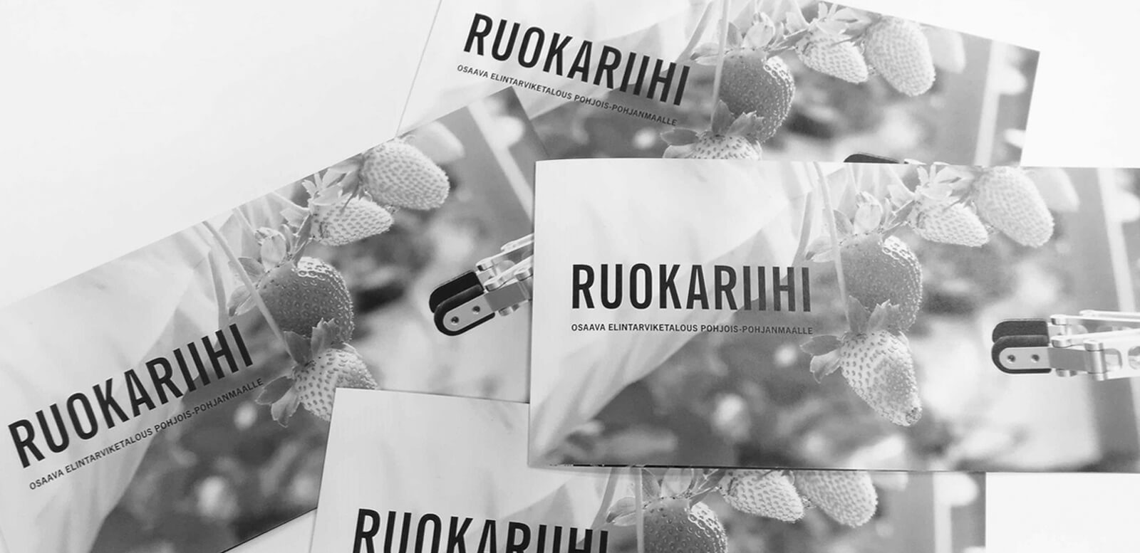 Sini Pirneksen Design Inspiksellä tekemä painotuote Ruokariihi-projektille