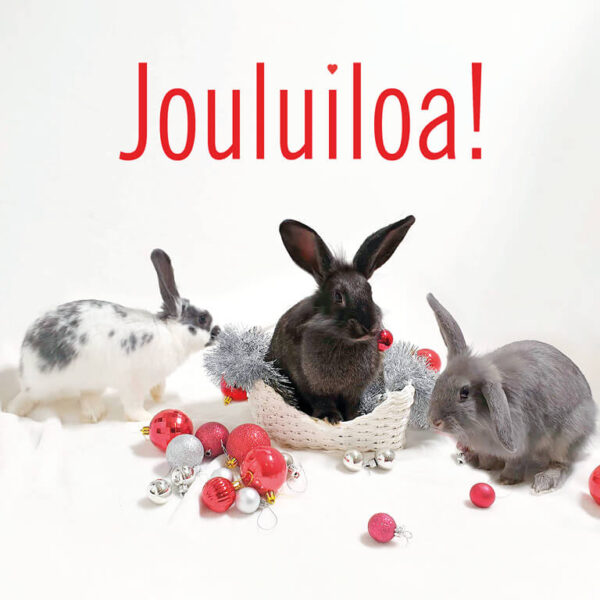 Valokuva kolmesta pupusta joulupallojen keskellä.