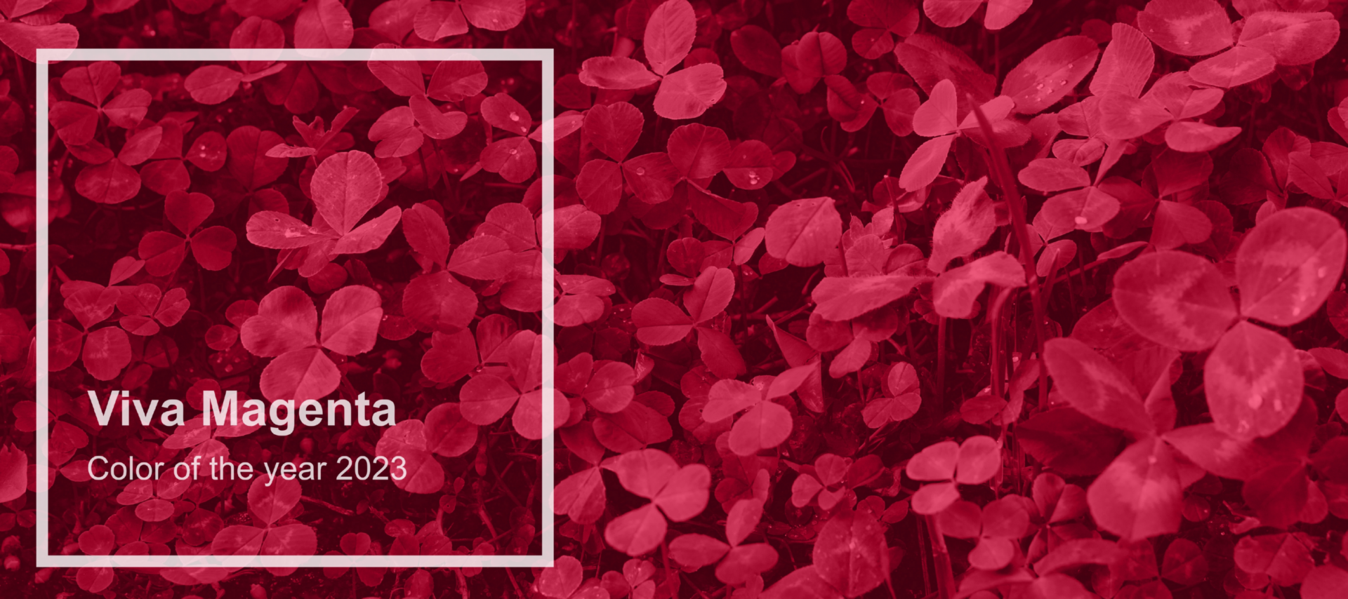 Graafisen suunnittelun trendit: rikkaat ja eloisat värit ja väriyhdistelmät.